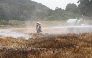 Flächenbrand im Maintal